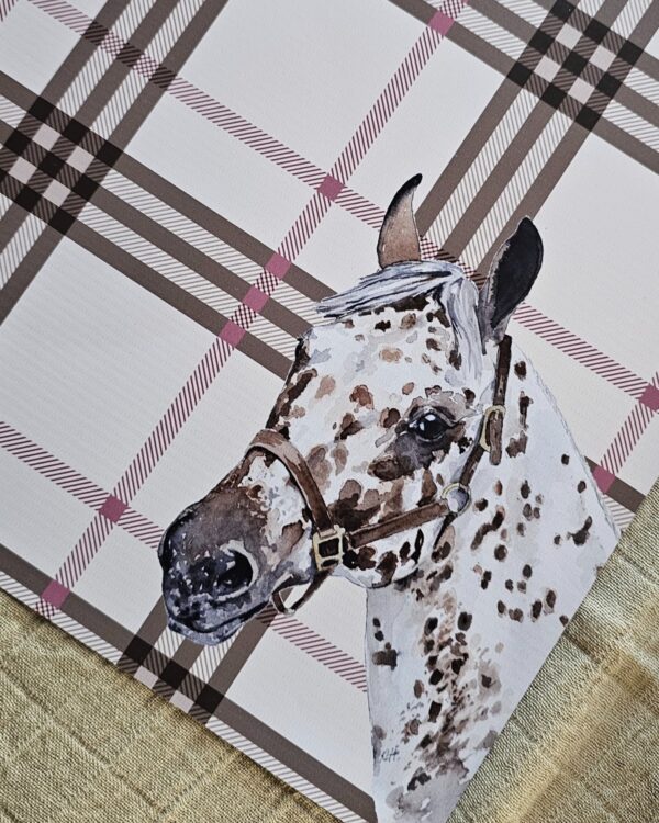 Colección Campo Argentino- Caballos